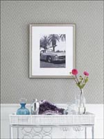 Room20796 by Thibaut Wallpaper for sale at Wallpapers To Go