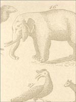 Ark Sand Wallpaper AMW1000116 by Andrew Martin Wallpaper for sale at Wallpapers To Go