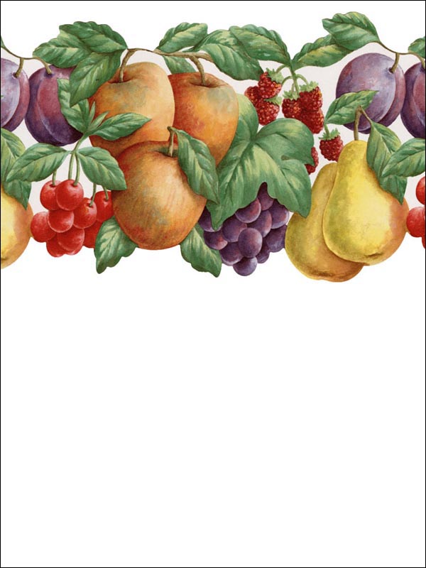 Fruit Border FK78451DC by Norwall Wallpaper for sale at Wallpapers To Go