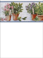 Herbs Border KV79531 by Norwall Wallpaper for sale at Wallpapers To Go