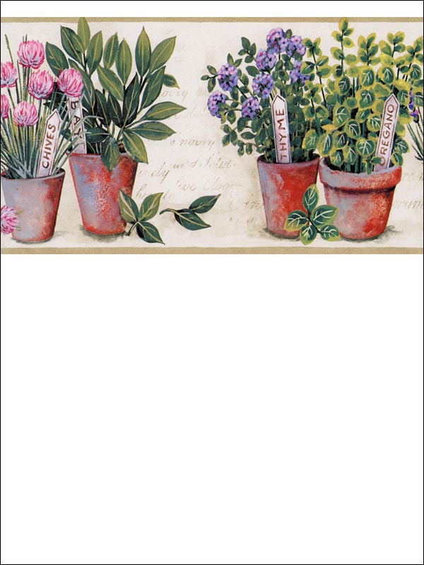 Herbs Border KV79535 by Norwall Wallpaper for sale at Wallpapers To Go
