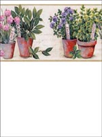 Herbs Border KV79535 by Norwall Wallpaper for sale at Wallpapers To Go