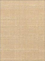 Duponi Silk Wallpaper SN266 by Astek Wallpaper for sale at Wallpapers To Go