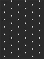 Polka Dots Wallpaper BW21920 by Paper and Ink Wallpaper for sale at Wallpapers To Go