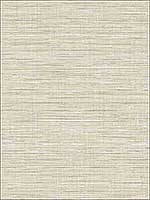 Natural Texture Wallpaper JC20310 by Wallquest Wallpaper for sale at Wallpapers To Go