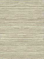 Grasscloth 2 Wallpaper JC21015 by Wallquest Wallpaper for sale at Wallpapers To Go