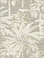 Dream Of Palm Trees Grey Texture Wallpaper PS40006 by Kenneth James Wallpaper for sale at Wallpapers To Go