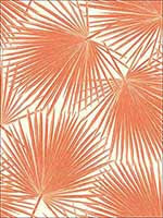 Aruba Wallpaper TA20206 by Seabrook Wallpaper for sale at Wallpapers To Go