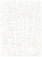 Metallic Grasscloth Look Textured Wallpaper OY34100 by Paper and Ink Wallpaper for sale at Wallpapers To Go