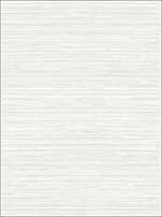 Metallic Grasscloth Look Textured Wallpaper OY35007 by Paper and Ink Wallpaper for sale at Wallpapers To Go