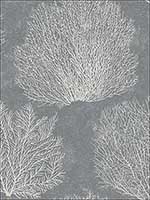 Oliver Wallpaper CR75712 by Carl Robinson Wallpaper for sale at Wallpapers To Go