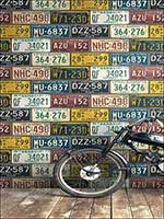 Room25376 by Pelican Prints Wallpaper for sale at Wallpapers To Go