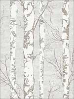 Alaska Birch Wallpaper TH50208 by Pelican Prints Wallpaper for sale at Wallpapers To Go