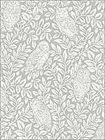 Parliament Light Grey Owl Wallpaper 311512411 by Chesapeake Wallpaper for sale at Wallpapers To Go