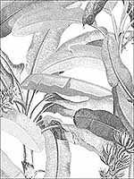 Polynesian Leaves Black and White Wallpaper MH36533 by Patton Norwall Wallpaper for sale at Wallpapers To Go