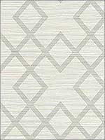 Vana Light Grey Woven Diamond Wallpaper 2765BW40408 by Kenneth James Wallpaper for sale at Wallpapers To Go