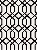Trellis Black Montauk Wallpaper FD23270 by Brewster Wallpaper for sale at Wallpapers To Go