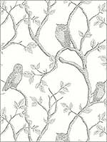 Enchanted Forest Grey Owl and Tree Wallpaper FD23289 by Brewster Wallpaper for sale at Wallpapers To Go