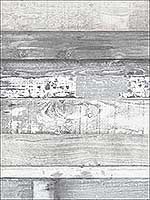 Beachwood White Blue Grey Dove Wallpaper FH37554 by Patton Norwall Wallpaper for sale at Wallpapers To Go