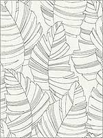 Jungle Leaves Wallpaper DA61400 by Seabrook Wallpaper for sale at Wallpapers To Go