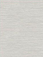 Vinyl Grasscloth Light Gray Wallpaper AW74520 by Collins and Company Wallpaper for sale at Wallpapers To Go