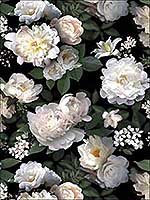 Black Photographic Floral 4 Panel Mural RMK11239M by York Wallpaper for sale at Wallpapers To Go