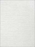 Kendari Grass Light Grey Wallpaper T293 by Thibaut Wallpaper for sale at Wallpapers To Go