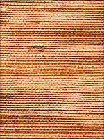 Simply Sisal Cinnamon Wallpaper WNR1129 by Winfield Thybony Wallpaper for sale at Wallpapers To Go