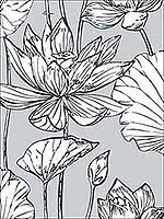 Lotus Floral Gray and Ebony Wallpaper NW33108 by NextWall Wallpaper for sale at Wallpapers To Go