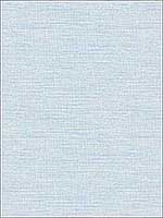 Agave Blue Faux Grasscloth Wallpaper 290224283 by A Street Prints Wallpaper for sale at Wallpapers To Go