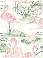 Everglades Coral Flamingos Wallpaper 312013601 by Chesapeake Wallpaper for sale at Wallpapers To Go