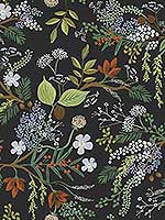 Juniper Forest Black Wallpaper RI5166 by Rifle Paper Co Wallpaper for sale at Wallpapers To Go