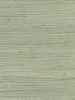 Battan Soft Green Grasscloth Wallpaper 40180008 by Advantage Wallpaper for sale at Wallpapers To Go
