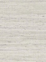 Luxe Weave Lunar Rock Wallpaper LN20200 by NextWall Wallpaper for sale at Wallpapers To Go
