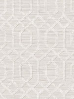 Giants Causway Cream Wallpaper FJ40268 by Mayflower Wallpaper for sale at Wallpapers To Go