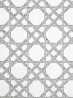 Cyrus Cane Sheer Smoke Fabric FWW7135 by Thibaut Fabrics for sale at Wallpapers To Go