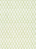 Arboreta Green Fabric F910830 by Thibaut Fabrics for sale at Wallpapers To Go