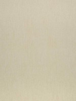 Orion Honey Fabric W80505 by Thibaut Fabrics for sale at Wallpapers To Go