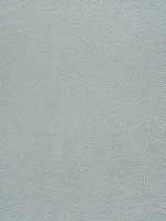 Kali Aqua Fabric W80517 by Thibaut Fabrics for sale at Wallpapers To Go