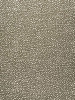 Fawn Hickory Fabric W78349 by Thibaut Fabrics for sale at Wallpapers To Go