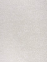 Fawn Oat Fabric W78350 by Thibaut Fabrics for sale at Wallpapers To Go