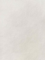 Arcata Ivory Fabric W78381 by Thibaut Fabrics for sale at Wallpapers To Go