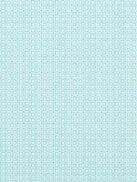 Santa Monica Turquoise Fabric F913102 by Thibaut Fabrics for sale at Wallpapers To Go