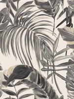 Palmera Stone Wallpaper WLD53102W by OhPopsi Wallpaper for sale at Wallpapers To Go