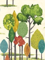 Cypress Teal Tall Trees Wallpaper CEP50137W by OhPopsi Wallpaper for sale at Wallpapers To Go