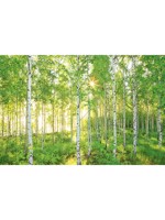 Sunday 8 Panel Mural 8519 by Brewster Wallpaper for sale at Wallpapers To Go