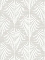 Marco Allover Foggy Morning Wallpaper GL20105 by Wallquest Wallpaper for sale at Wallpapers To Go