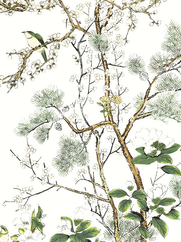 wallpaper sample for Thibaut T13621 Katsura Green and White Wallpaper