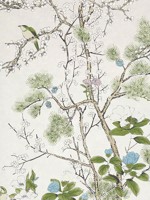 Katsura Cream and Lavender Wallpaper WTG-243343 by Thibaut Wallpaper for sale at Wallpapers To Go