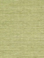 Sisal Grasscloth Pea Pod Wallpaper WTG-243466 by Winfield Thybony Wallpaper for sale at Wallpapers To Go